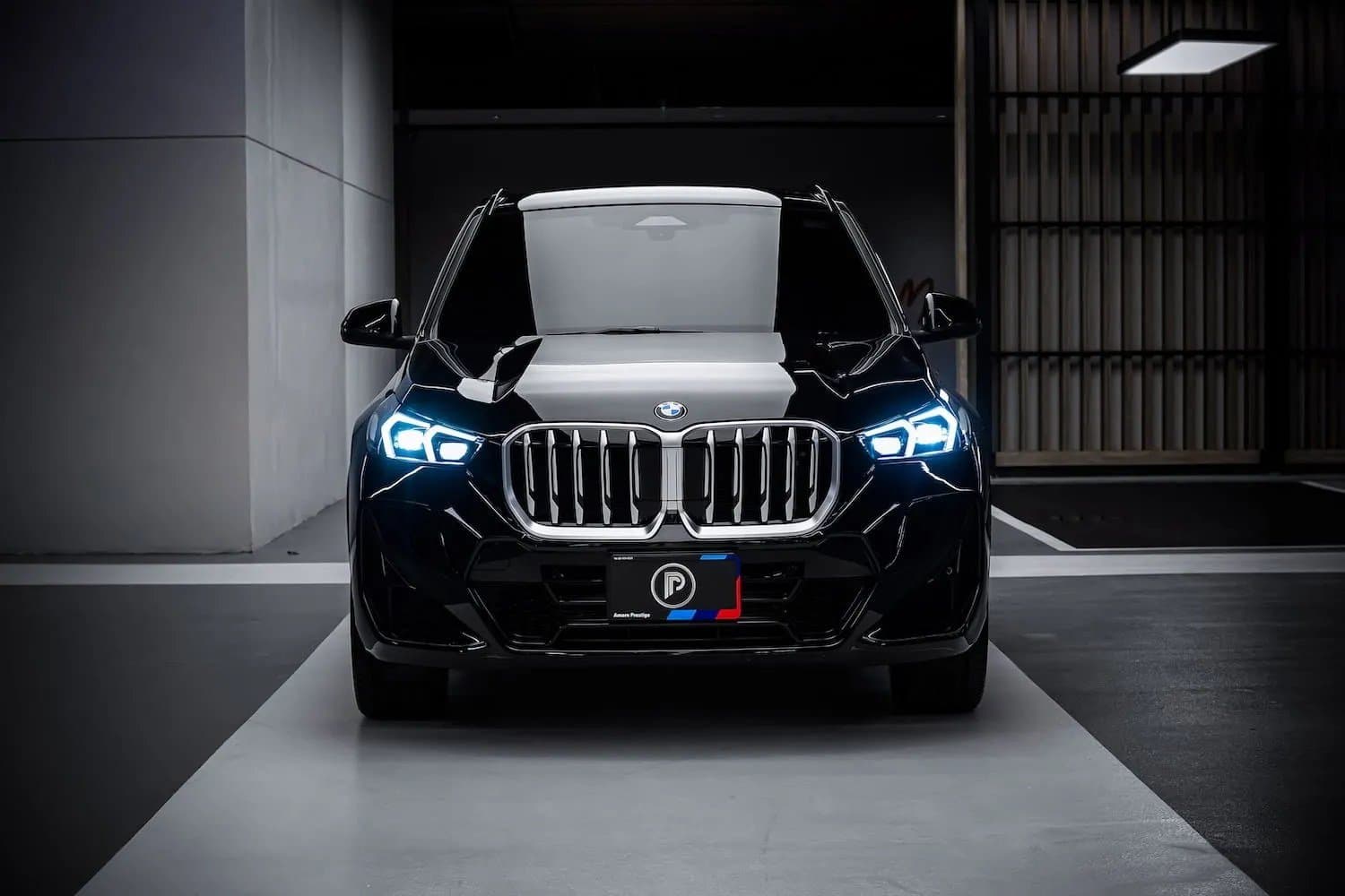 BMW X1 20i M Sport 2