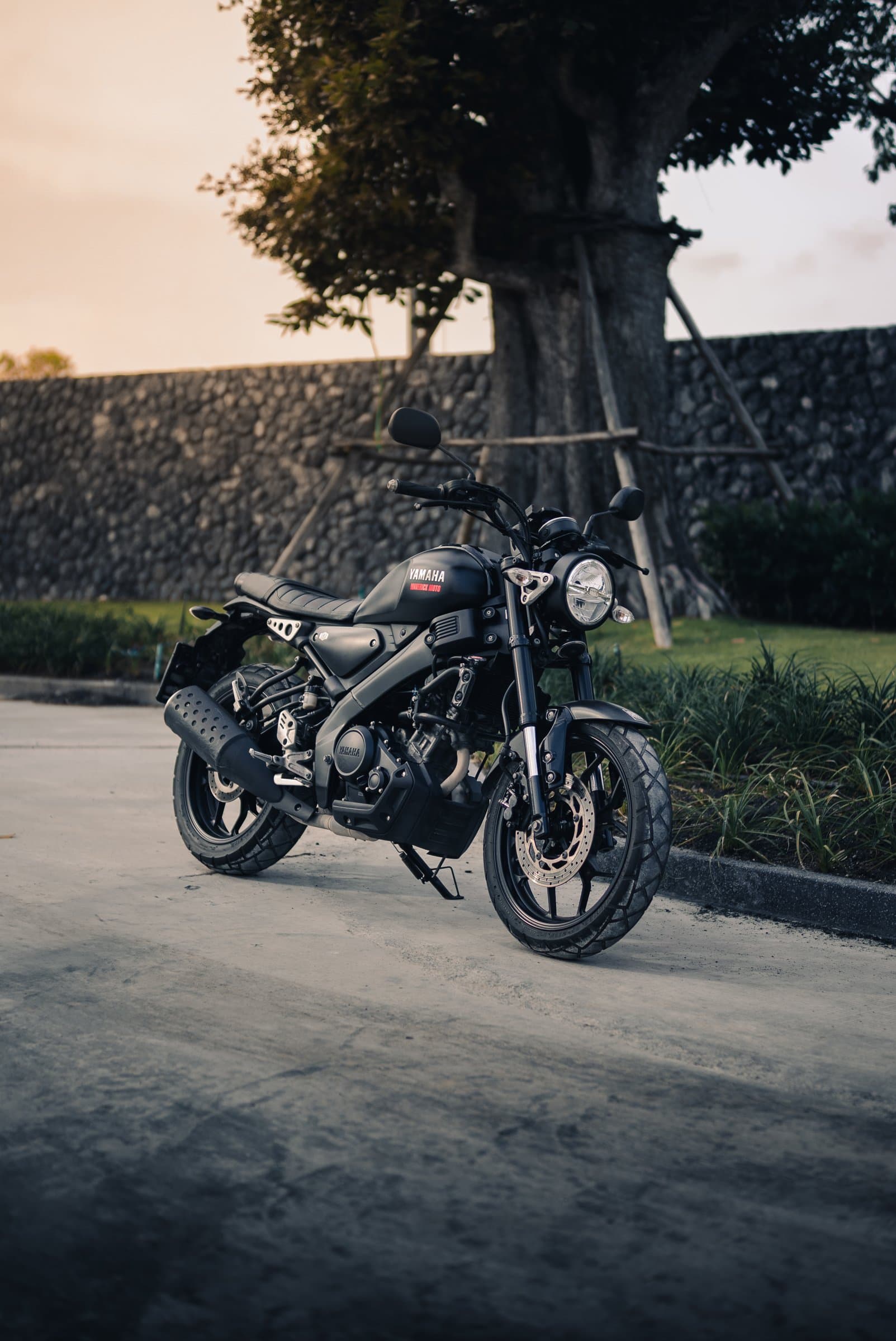 Yamaha XSR155 2