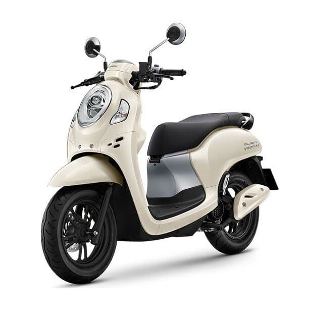 Honda Scoopy 110cc 2